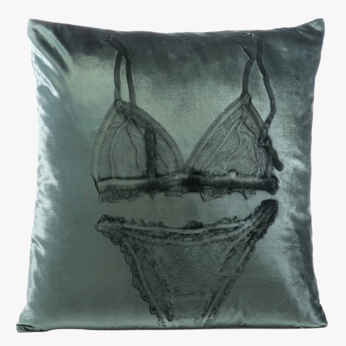 Lingerie Cinder Signature Velvet Pillows