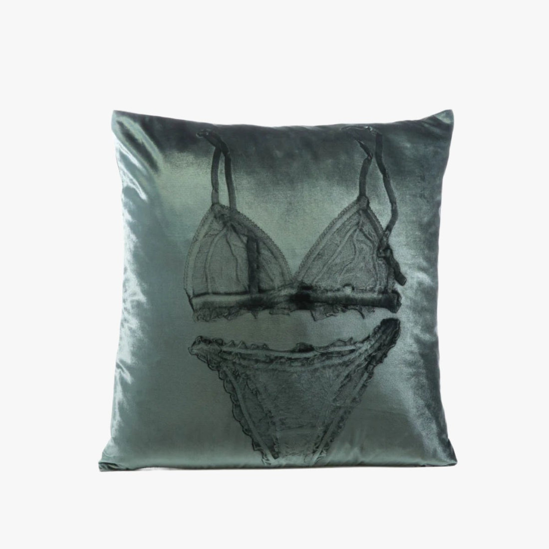 Lingerie Cinder Signature Velvet Pillows