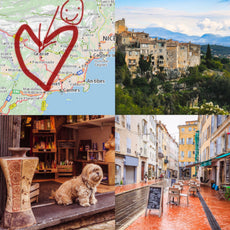 An American in Grasse: A Love Story