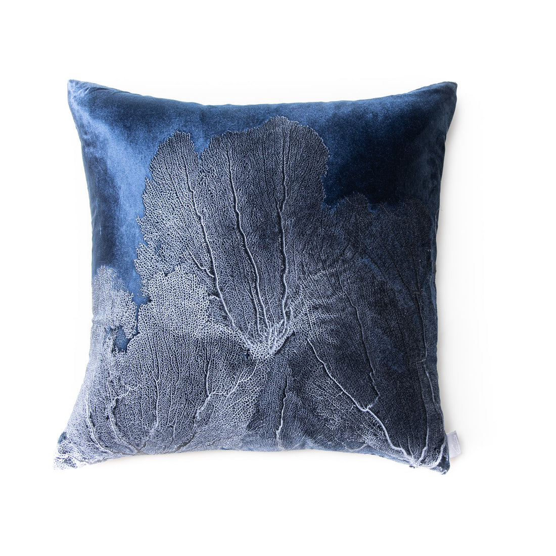 SV Special Collection Seafan 12x20 1479