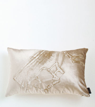 "Can't Stop Destiny" Mystery  Lingerie Pillow