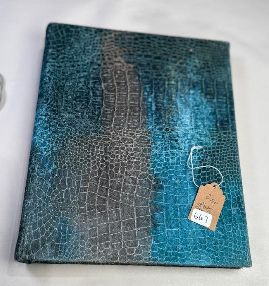 OOAK Signature Book 667