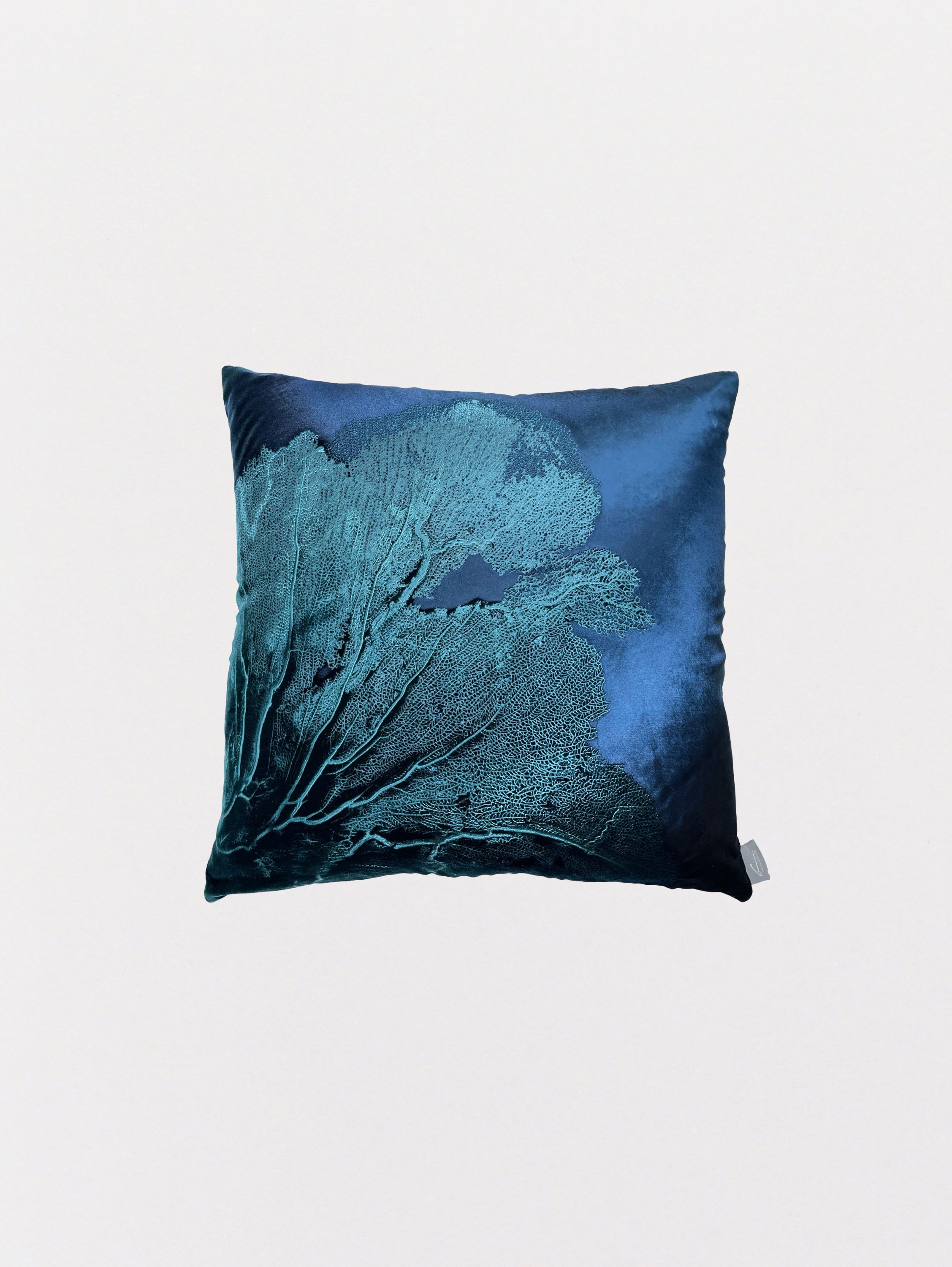 Signature Velvet Seafan