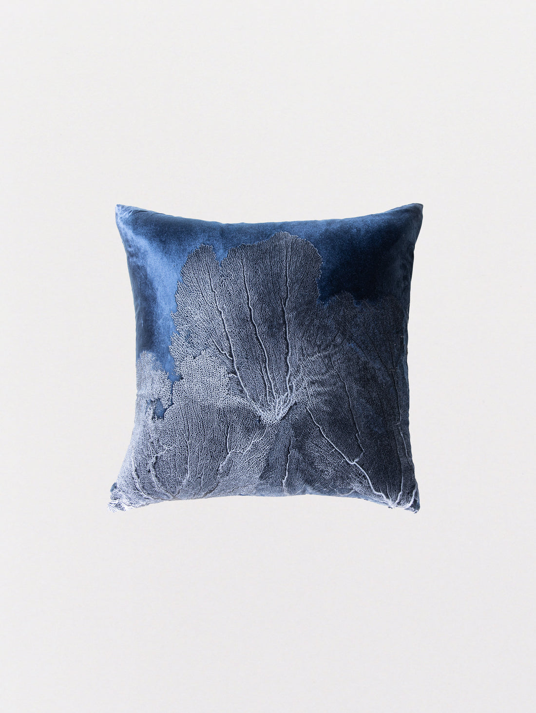 Signature Velvet Seafan