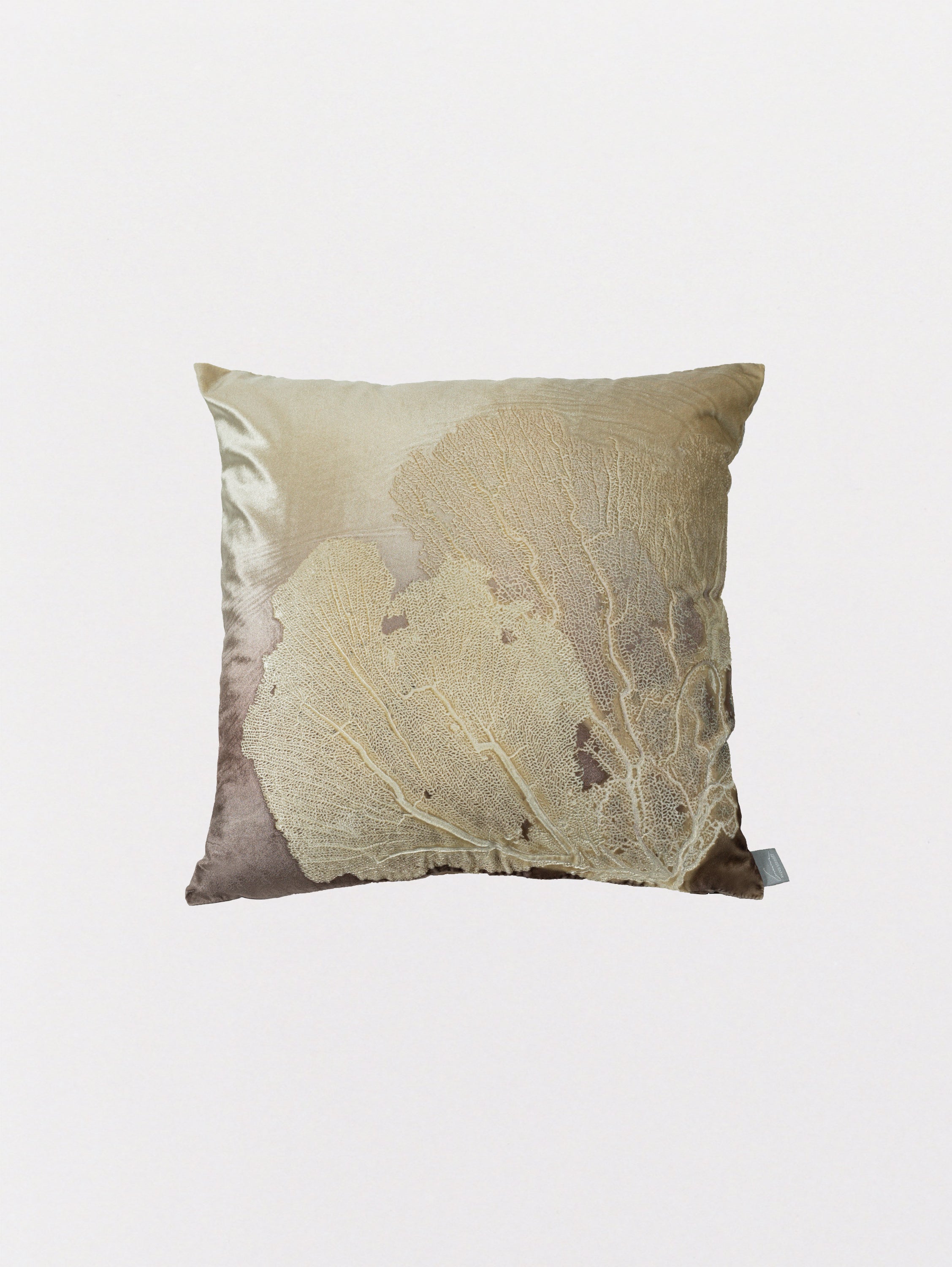 Signature Velvet Seafan