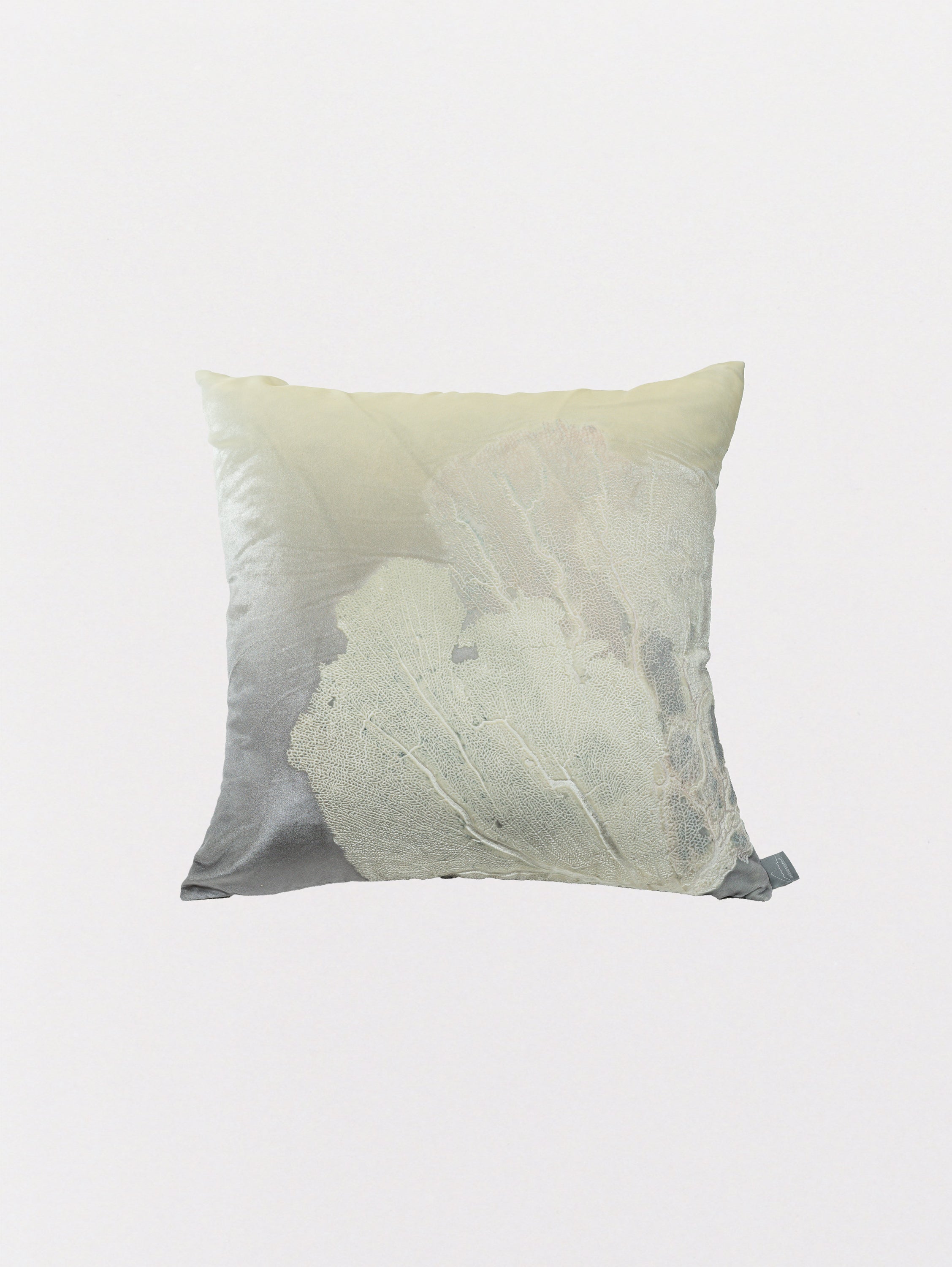 Signature Velvet Seafan