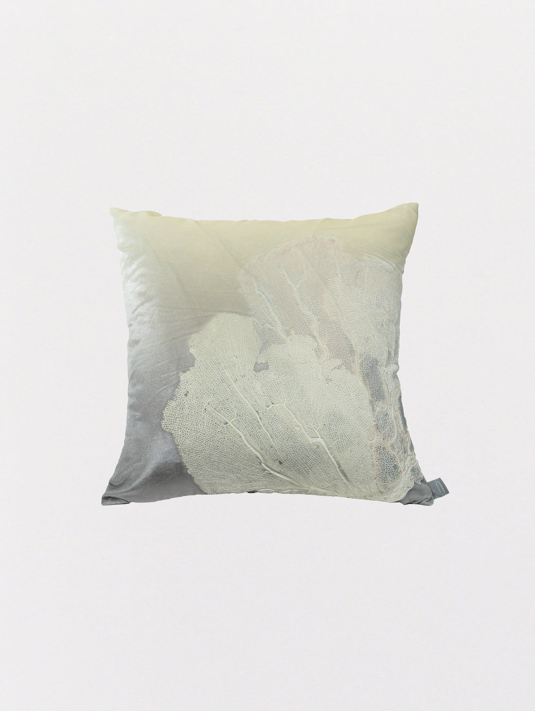 Signature Velvet Seafan