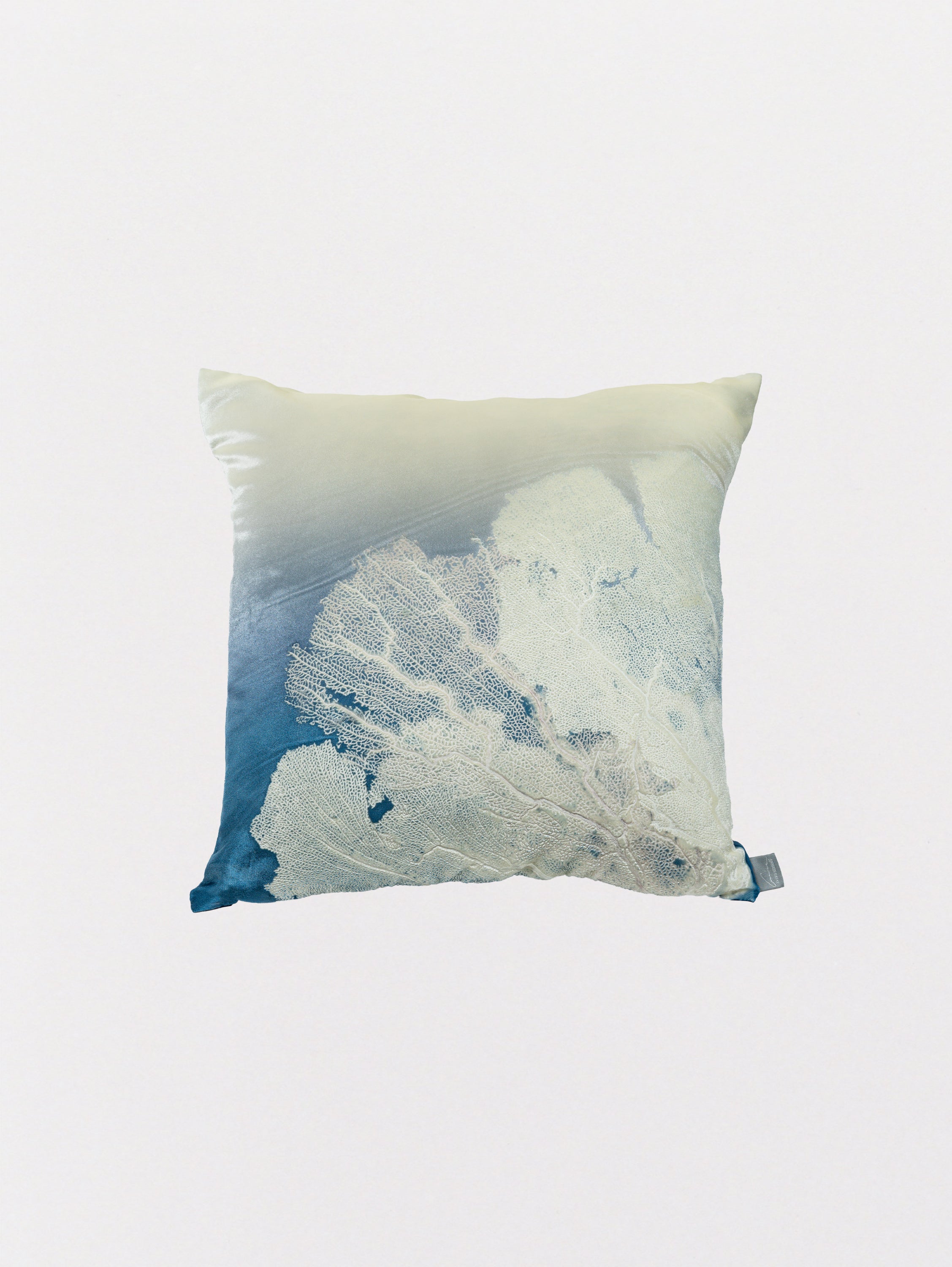 Signature Velvet Seafan