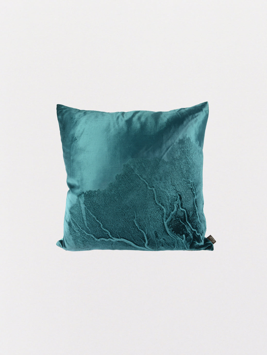 Signature Velvet Seafan