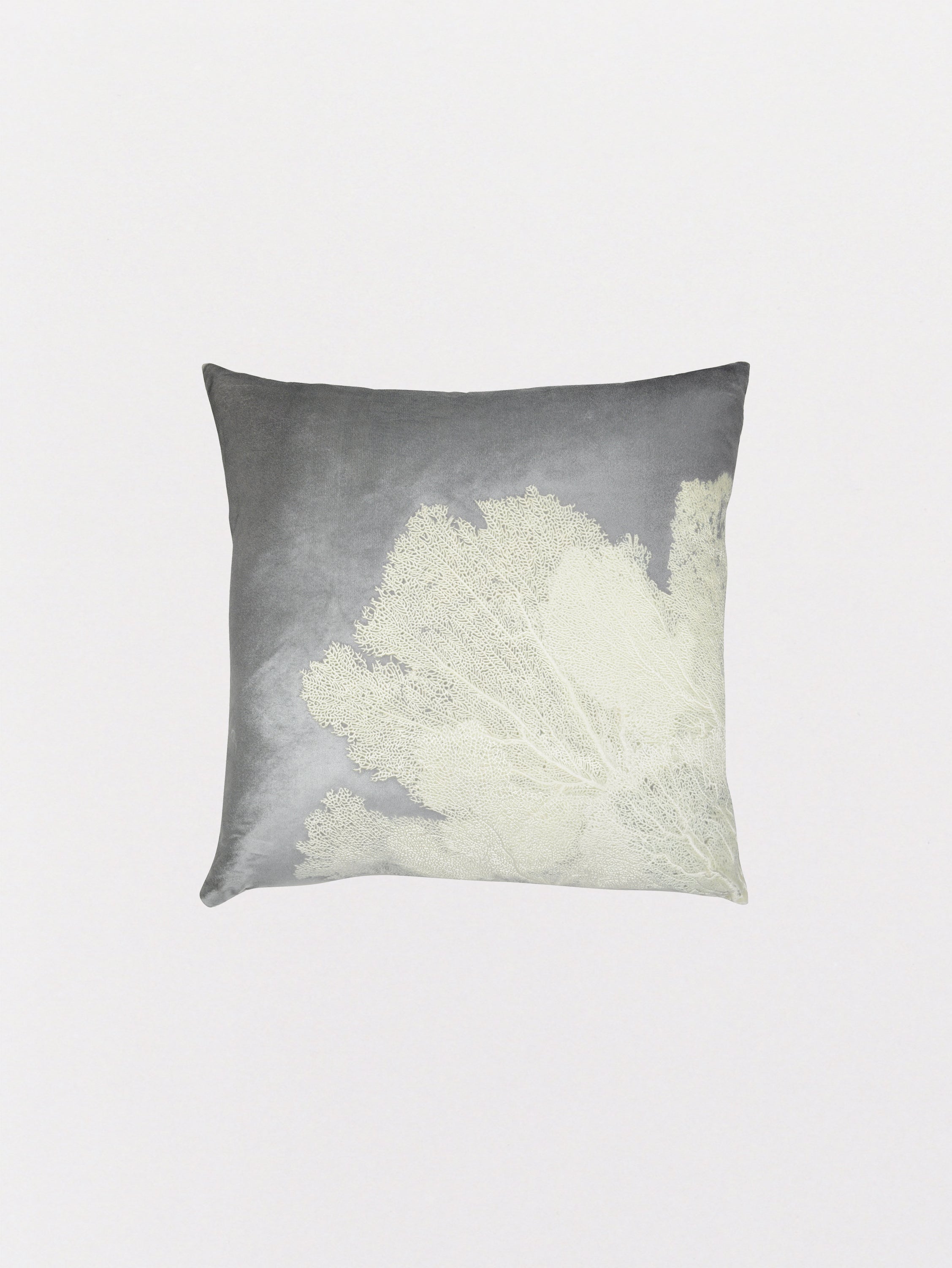 Signature Velvet Seafan