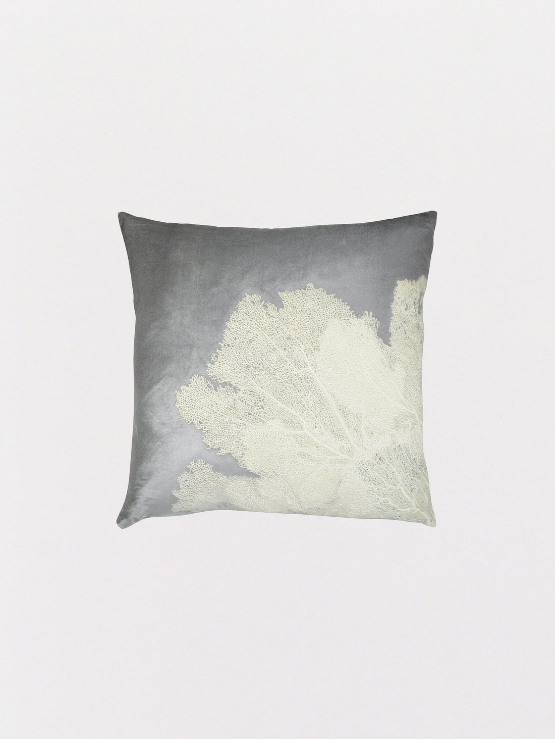 Signature Velvet Seafan