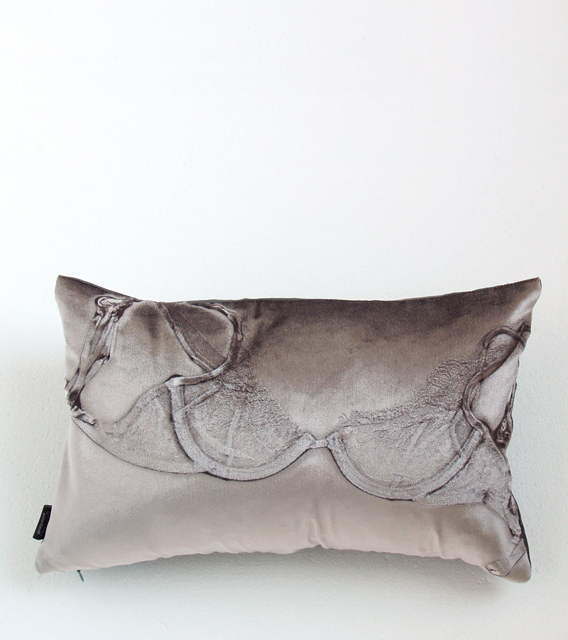 "Can't Stop Destiny" Mystery  Lingerie Pillow