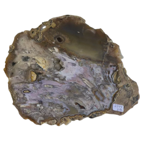 Agate Slab 2.8lbs 8.5x8x1" 2243