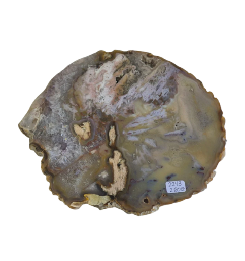 Agate Slab 3lbs 9.75x9.25x1"  2244