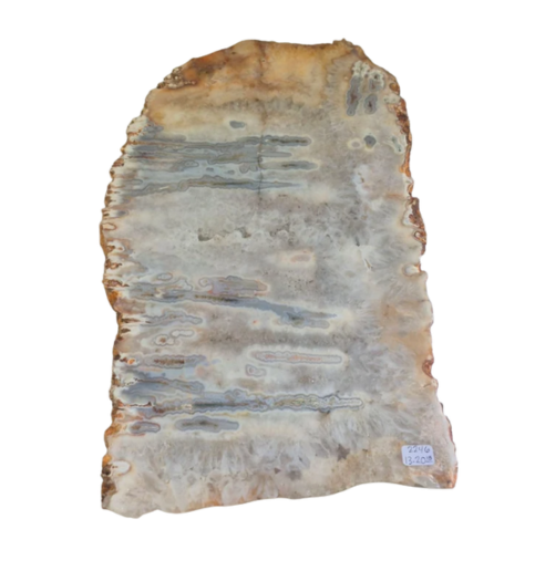 Agate Slab 13.2lbs 9.5x16x1.5"  2246