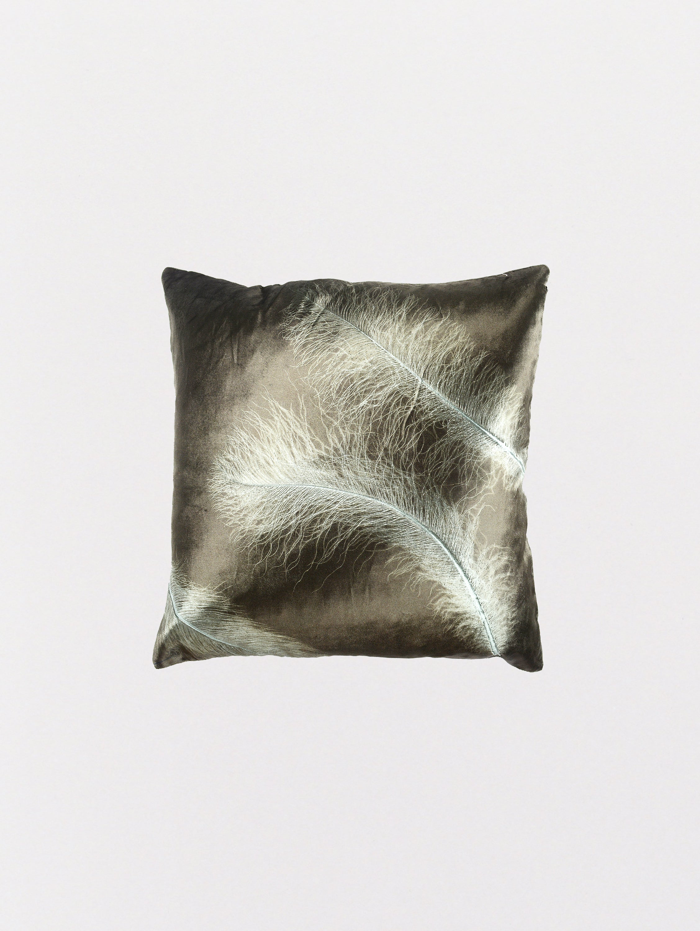 Signature Velvet Feather