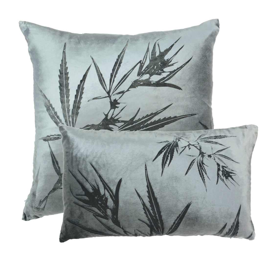 Kush Solana Signature Velvet Pillows