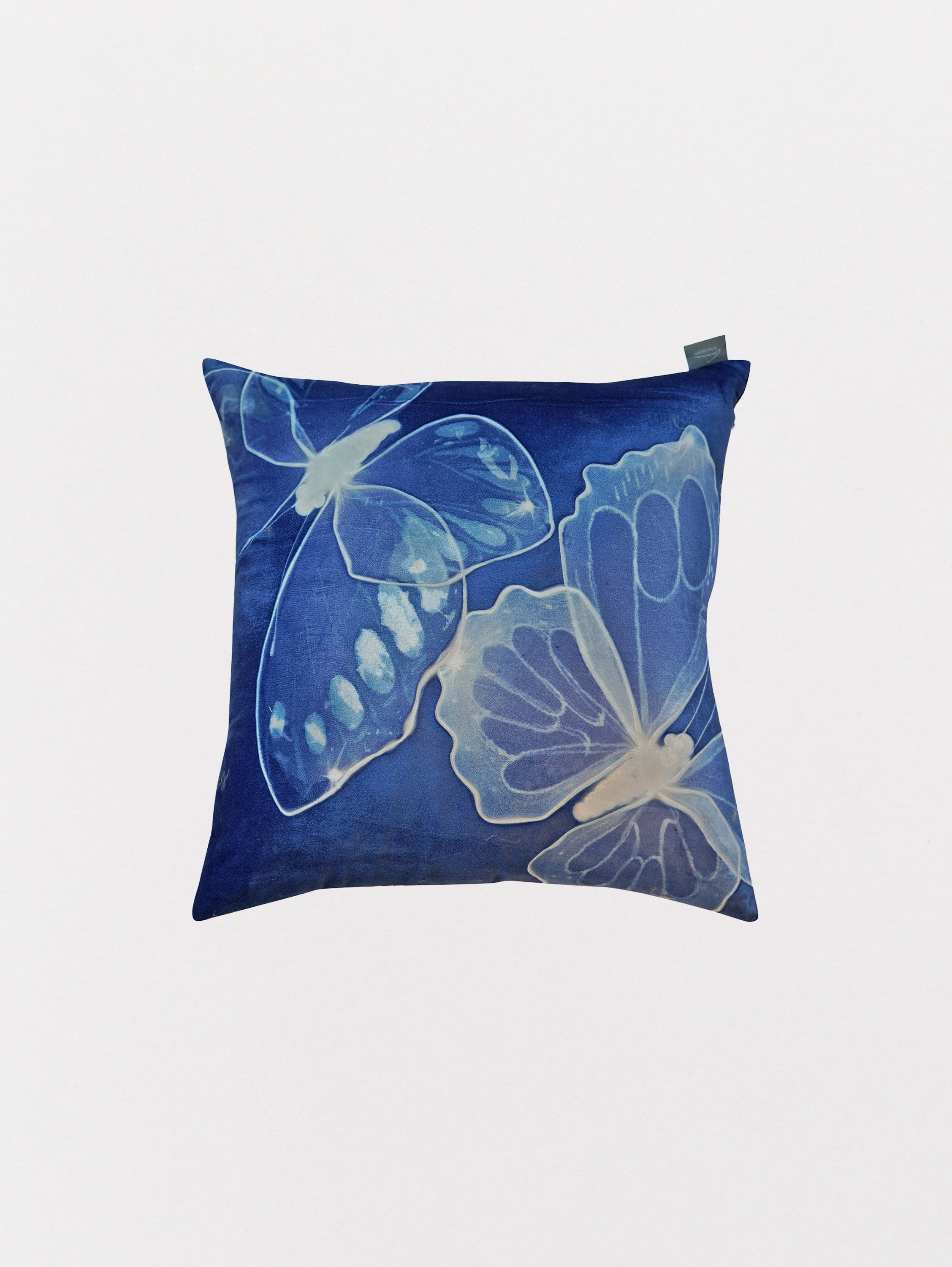 Signature Velvet Monarch
