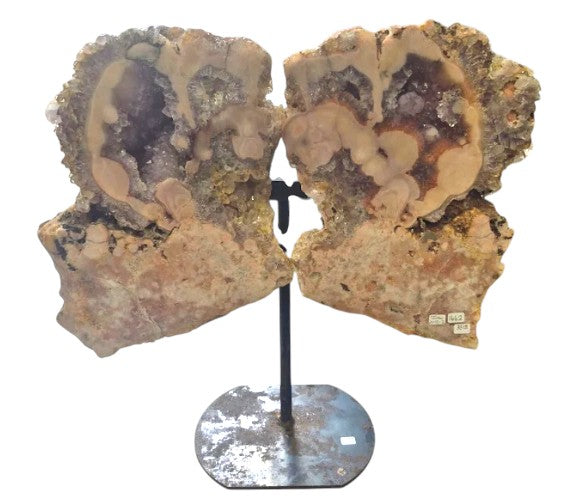 Pink Amethyst Wings 38lbs 21"x15"x2"  1662