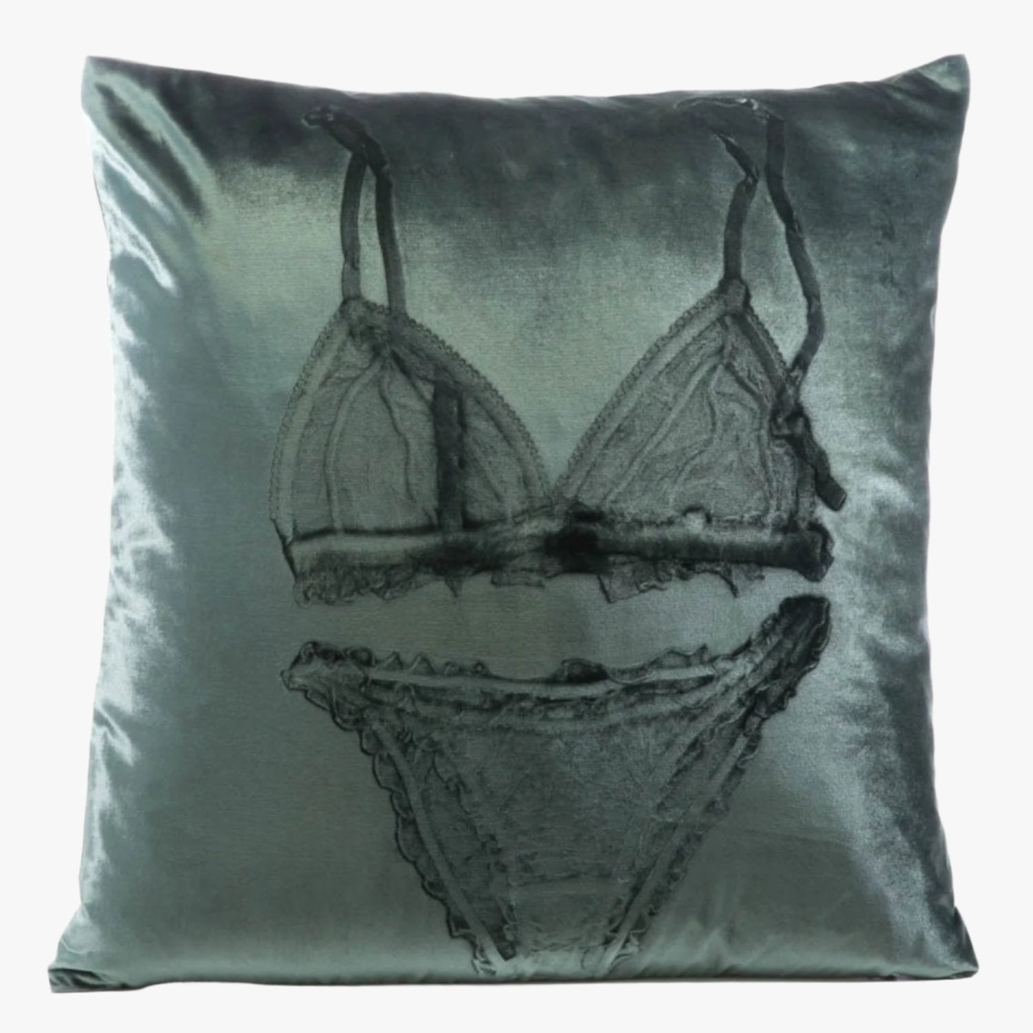 Lingerie Cinder Signature Velvet Pillows