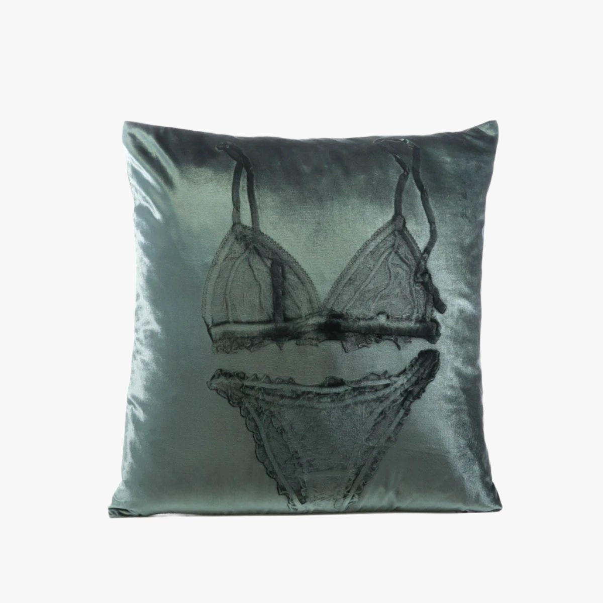 Lingerie Cinder Signature Velvet Pillows