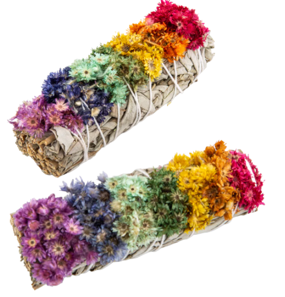 6" Rainbow Sage Set of 2